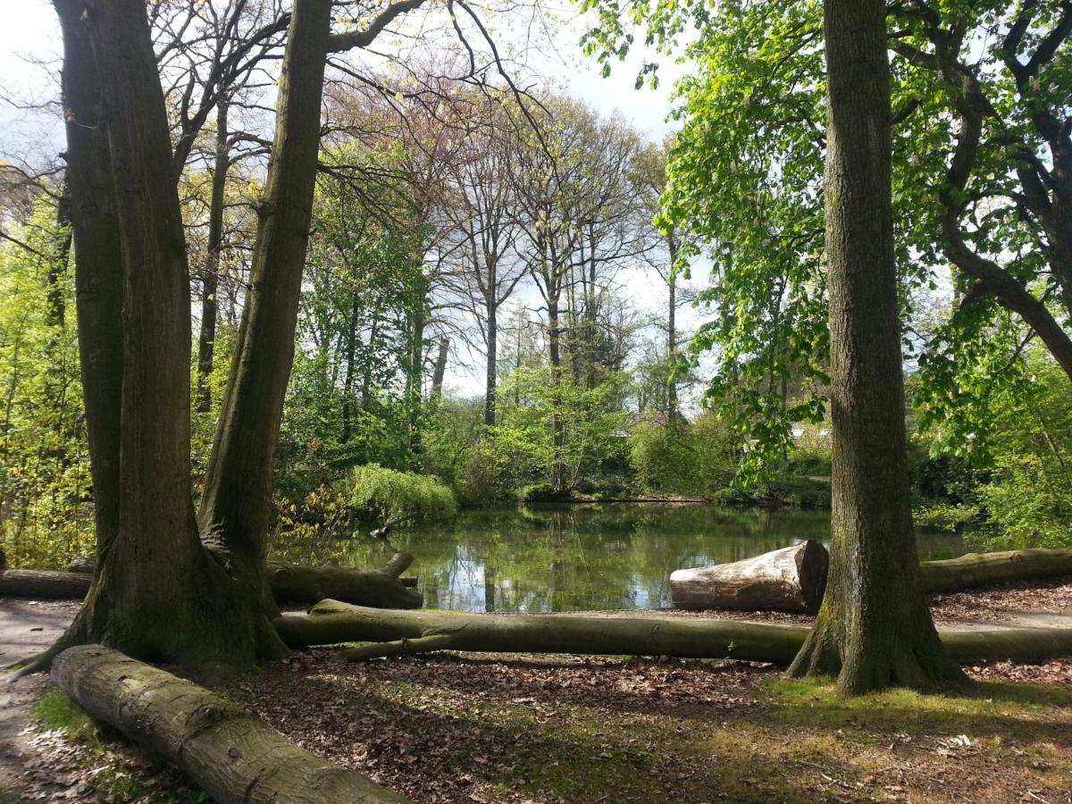 Bed & Breakfast De Pimpelmees 's-Gravenmoer